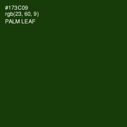 #173C09 - Palm Leaf Color Image